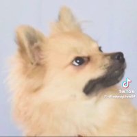 Ben Bastian (@b_bas) 's Twitter Profile