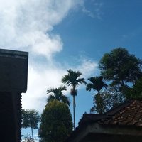 ciciwww (@cicioow34) 's Twitter Profile