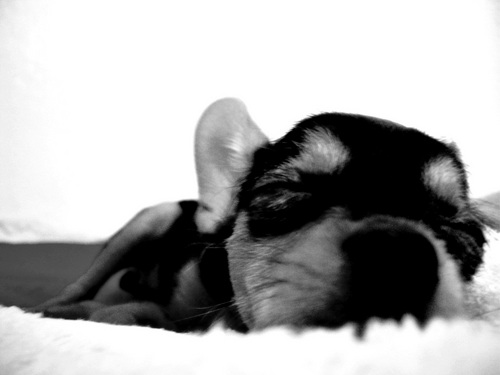 earnwarinya's profile picture. 