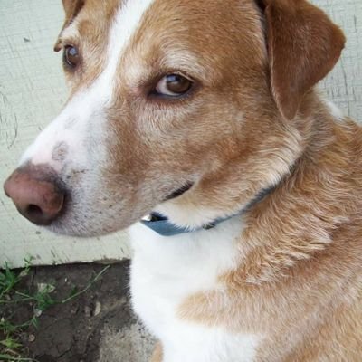 UnseenUnknown3's profile picture. You can't see me, therefore you can't know me.