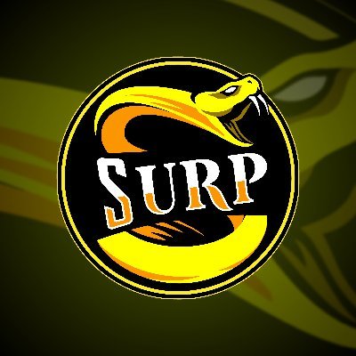 surp00_surp00 Profile Picture