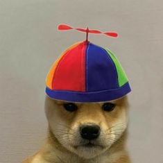 ex csgo pro for team