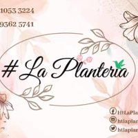 #𝓛𝓪𝓟𝓵𝓪𝓷𝓽𝓮𝓻í𝓪 🌿🪴🌸🌲🌻🌺🌳(@HTLaPlanteria) 's Twitter Profile Photo