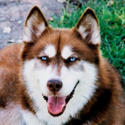 WattsJmarkwatts's profile picture. 