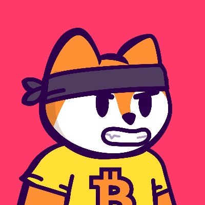 SillyGringo777's profile picture. #BITCOIN #DEGEN 🍀