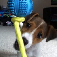 Jack (@spratt_rl) 's Twitter Profile