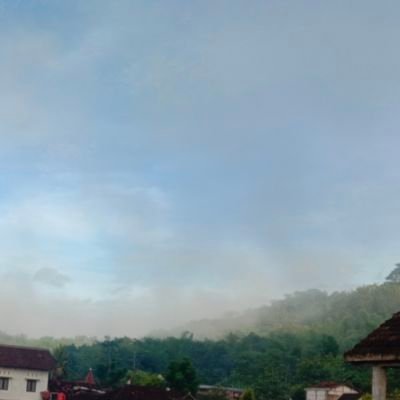 sapikol_16's profile picture. yowes ya