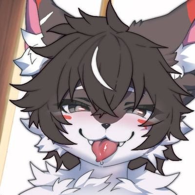 Selie562's profile picture. 是小动物，r18注意，没啥好看的，推止于推，空推不过