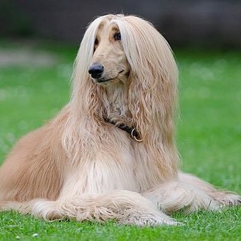 bridgetttttk's profile picture. 