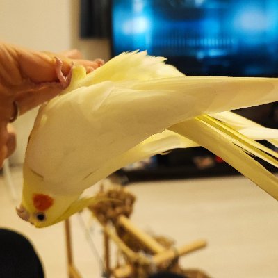 otyomannn's profile picture. ベビー用品関連企業のマーケ担当