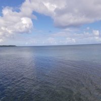 権兵衛 (@aries4015) 's Twitter Profile