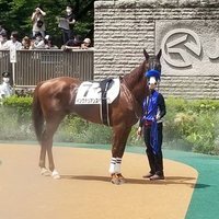 ミスプロ系男子 (@misproboy) 's Twitter Profile