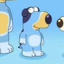 peeshoe9000's profile picture. 