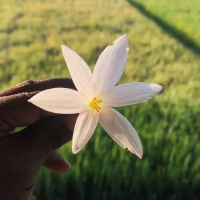 Arulkum77054613's profile picture. வெல்க தமிழ்....