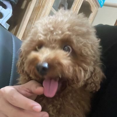 ErnestKenrick's profile picture. a king is called a king if he had a kingdom. not by having a queen