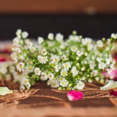 CPAinthemakingX's profile picture. 