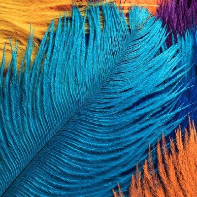 Sunnysingh2024's profile picture. 