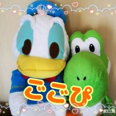 🌟ごごぴ🌟さんのプロフィール画像