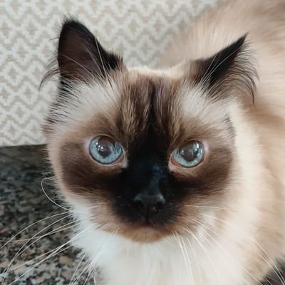 dievent's profile picture. 