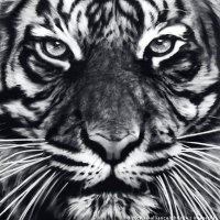 daddy 👾 (@ba6d_60) 's Twitter Profile