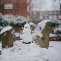 dseater999 (@dseater9991) 's Twitter Profile