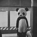 Panda🐼 (@twtbullshid) Twitter profile photo Panda🐼 (@twtbullshid) Twitter profile photo