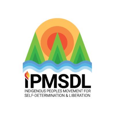 ipmsdl_ Profile Picture