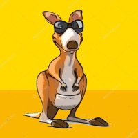 kangaroo (@bac2back) 's Twitter Profile