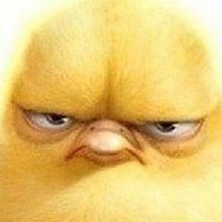 trashmundo.1 🐦 (@trashmundo1) 's Twitter Profile