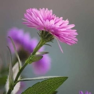 الحمدلله وحـدَها تعبر عَن فَرحك أو حزنَك ، ضيقك او إتسَاع حَالك فلا تنساها كي يطيبُ حَالك . الخاص لـ دعم التغريدات فقط غير ذلك #حظر ✋🏻 (اللهم احفظ أمي❤ )