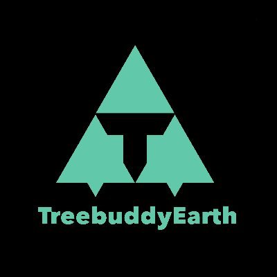 The Earth needs trees. We have planted millions of trees and will take care of them. They are our Treebuddies