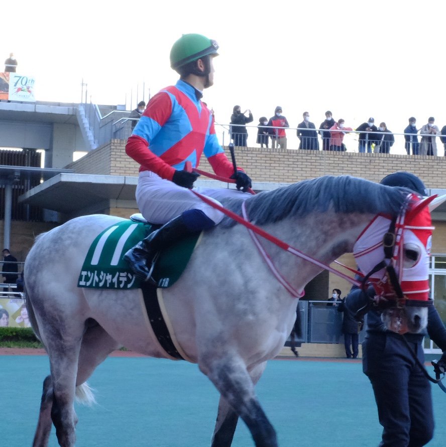 小さい頃から競馬好き🏇社会人になって戻ってきました/普段土日仕事なので競馬場に行くのは稀。皆さんの写真を眺めるアカウント/行くなら中京名古屋/坂井瑠星騎手💫/無言フォロー失礼します🙇‍♀️