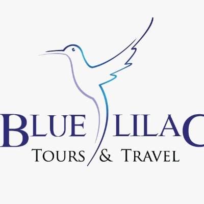 bluelilactours Profile Picture