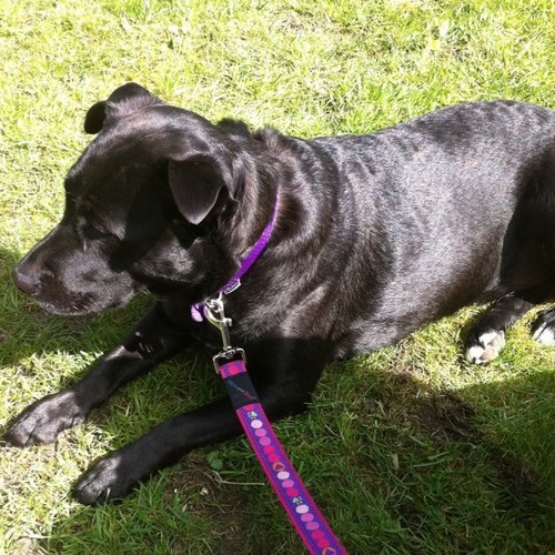 jayneandsally's profile picture. 