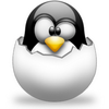 (reactive scala developer, gnu/linux geek, found of irony, just crazy enough)