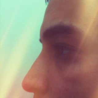 wrferreira's profile picture. System Developer