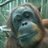 ianblack3060's profile image