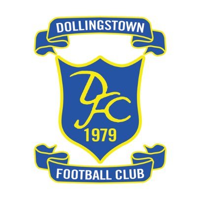 Dollingstown Fc was founded in 1979 & play in NIFL Lough 41 Premier Intermediate & 2nds in MUFL Reserve Championship. Nicknamed the Dollybirds.