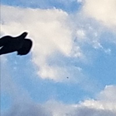 AstralPotato's profile picture. 