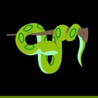 Amaan17734.NYAN🔫😼 (@amaan29873364) 's Twitter Profile