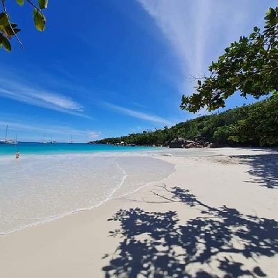 As a native of the Seychelles I feel great every day waking up knowing that I will be meeting new Clients every day to show them my beautiful island Seychelles