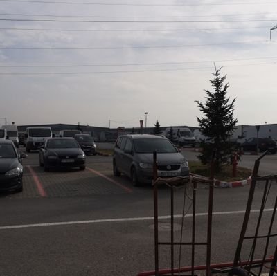 jinxinping2's profile picture. 