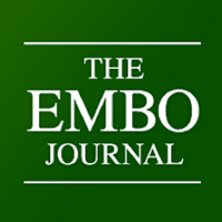 The EMBO Journal(@embojournal) 's Twitter Profile Photo