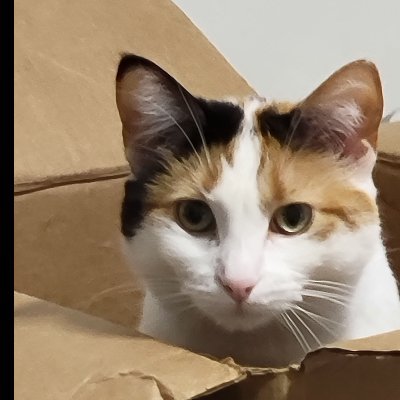 Toddcase4's profile picture. IG:Todd Case/ SC:todd_case