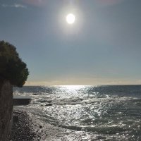 sue Beale (@suebeale13) 's Twitter Profile