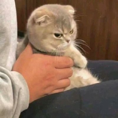 _moochilove_'s profile picture. Simp Era 💅
💎💜💗