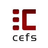 CEFS_CZ's profile picture. Česká společnost pro filmová studia / Czech Society of Film Studies