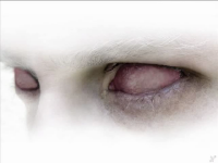 DigitalNarcosiS's profile picture. engineer/programmer, student, enterpreneur, musician, artist, dreamer, raver, traveler, nature, dancing, sunrise/sunset and in between