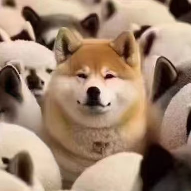 rxprussia's profile picture. 