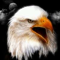 2john316's profile picture. 